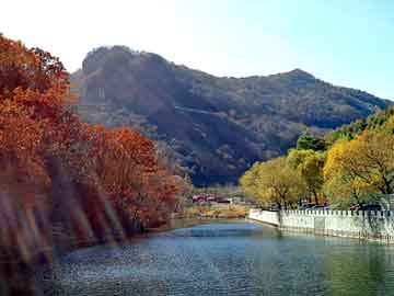 澳门二四六天天彩图库，村里的女人